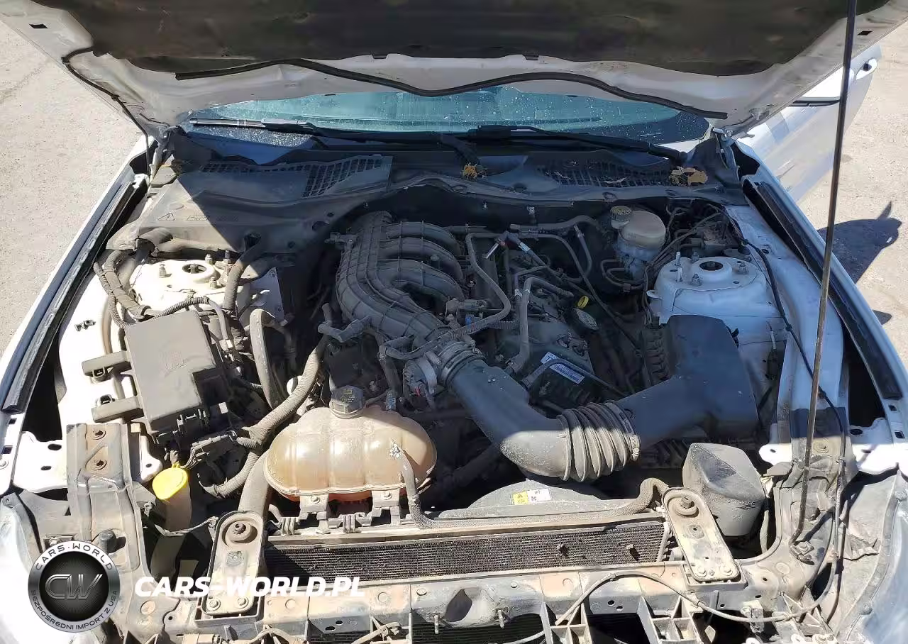 FORD MUSTANG VIN:1FA6P8AM8F5362617 - 11