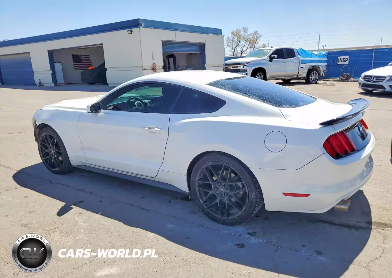 FORD MUSTANG VIN:1FA6P8AM8F5362617 - 2
