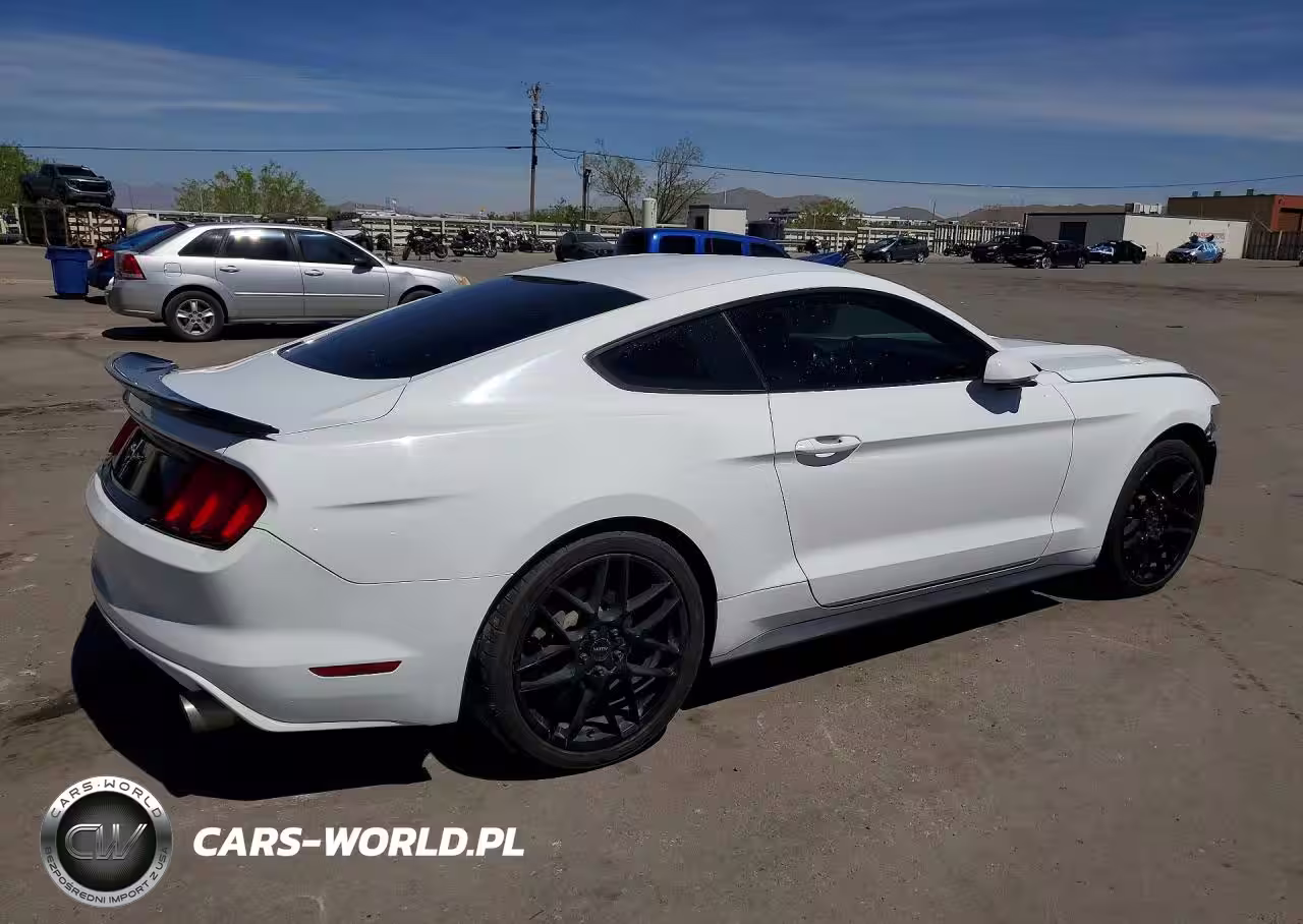 FORD MUSTANG VIN:1FA6P8AM8F5362617 - 3