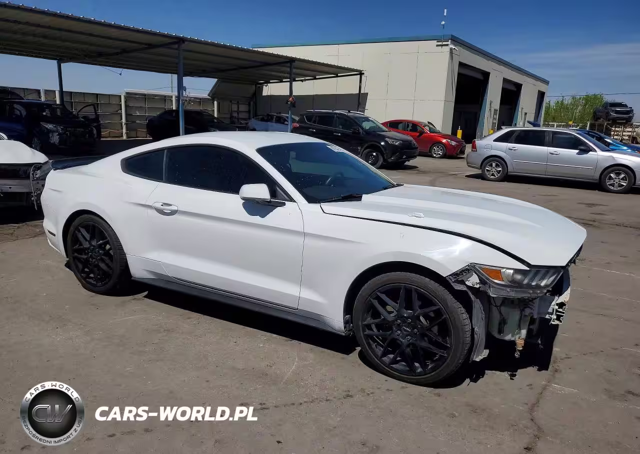 FORD MUSTANG VIN:1FA6P8AM8F5362617 - 4