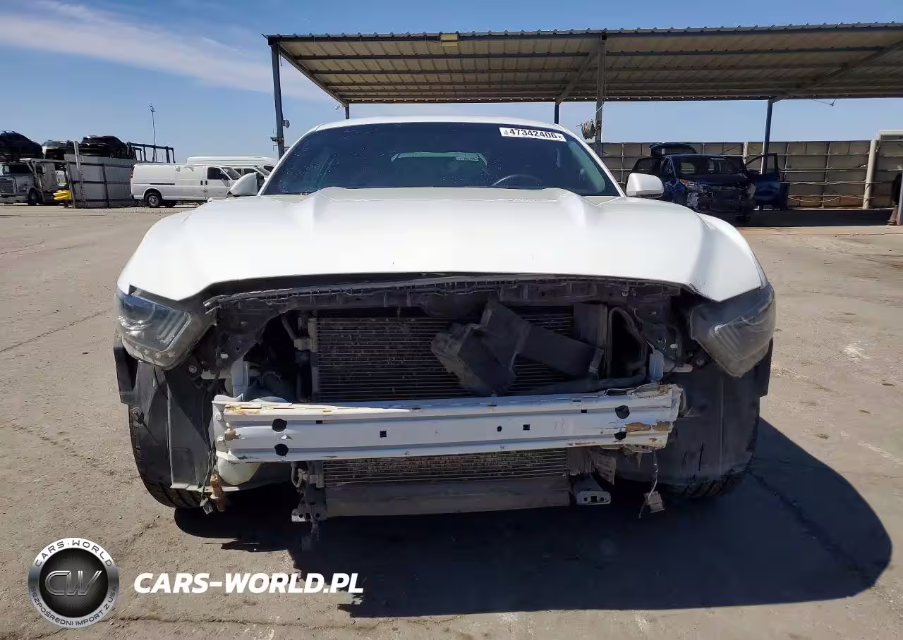 FORD MUSTANG VIN:1FA6P8AM8F5362617 - 5