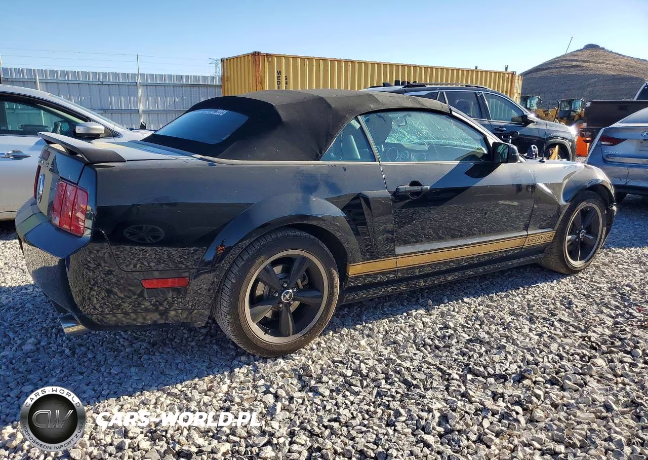 2007 Ford Mustang VIN:1ZVHT85H975323500 - 3