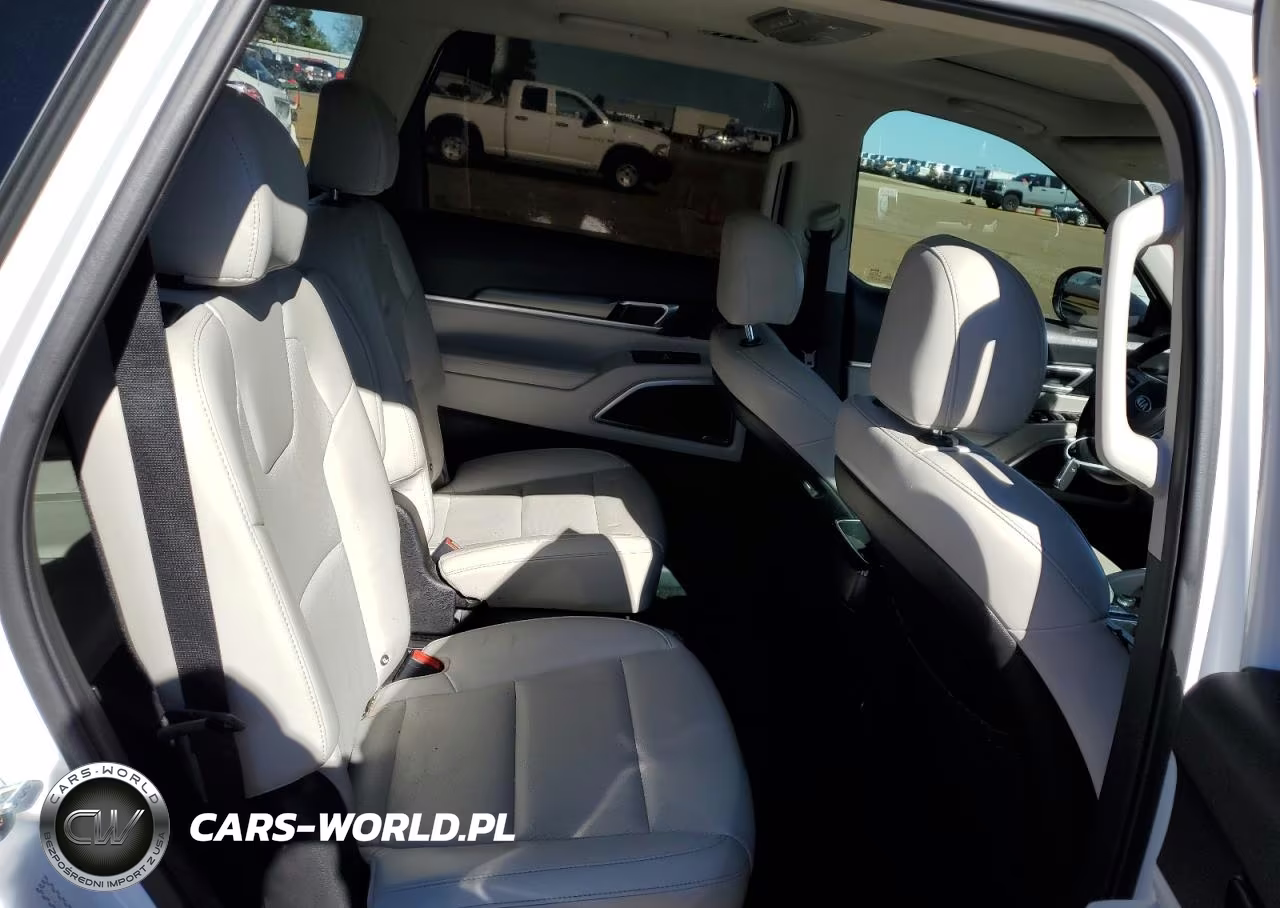 2020 Kia Telluride S VIN:5XYP6DHC4LG091498 - 11