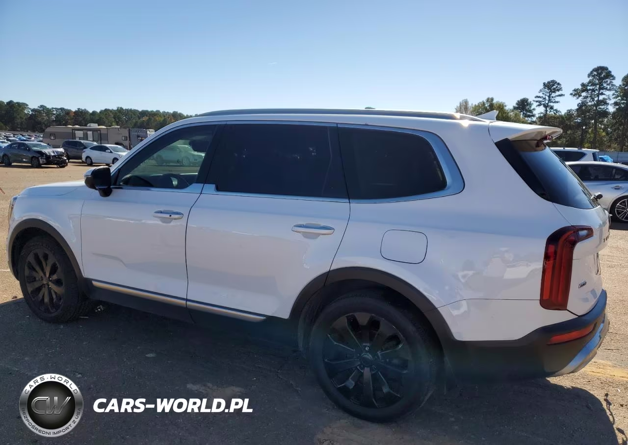 2020 Kia Telluride S VIN:5XYP6DHC4LG091498 - 2