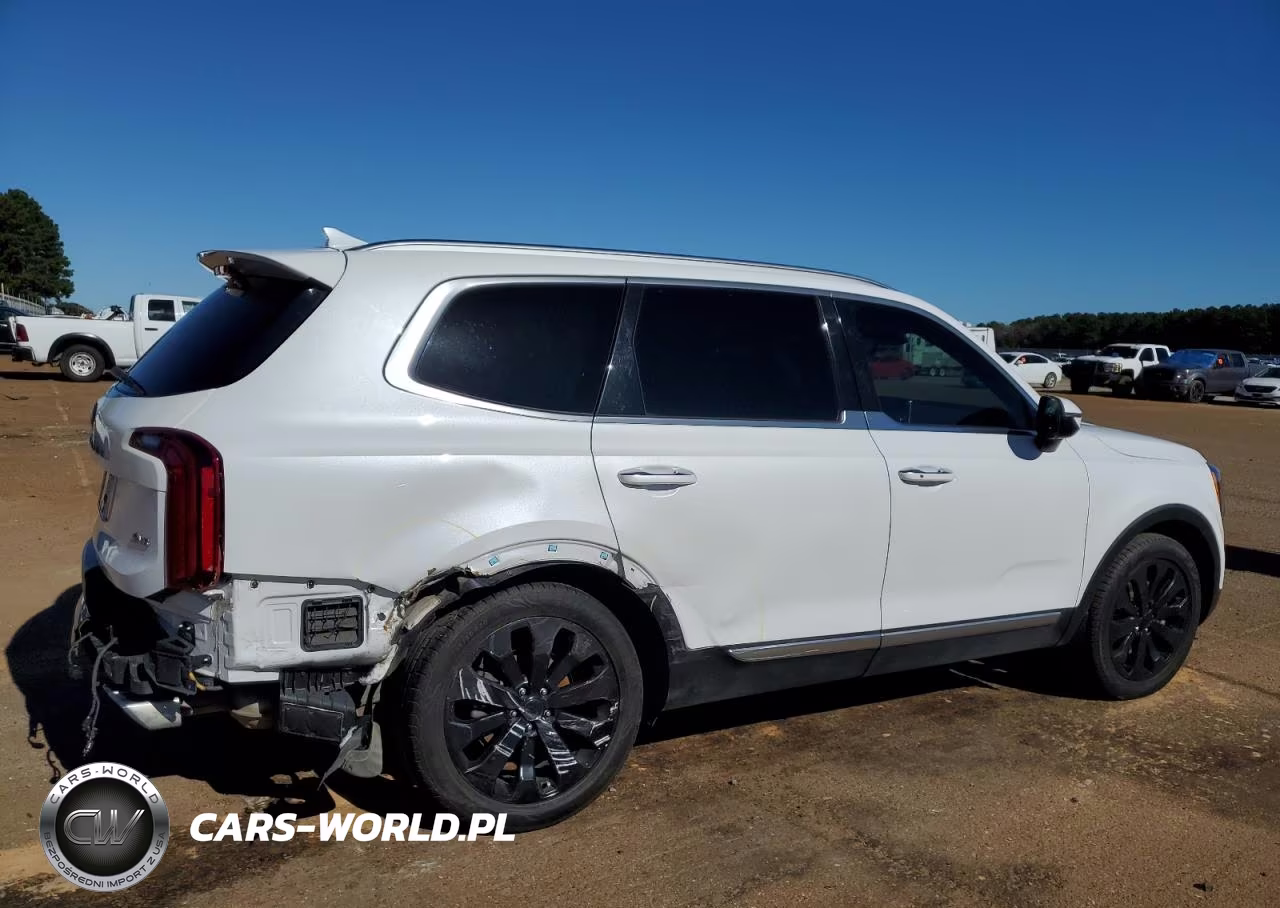 2020 Kia Telluride S VIN:5XYP6DHC4LG091498 - 3