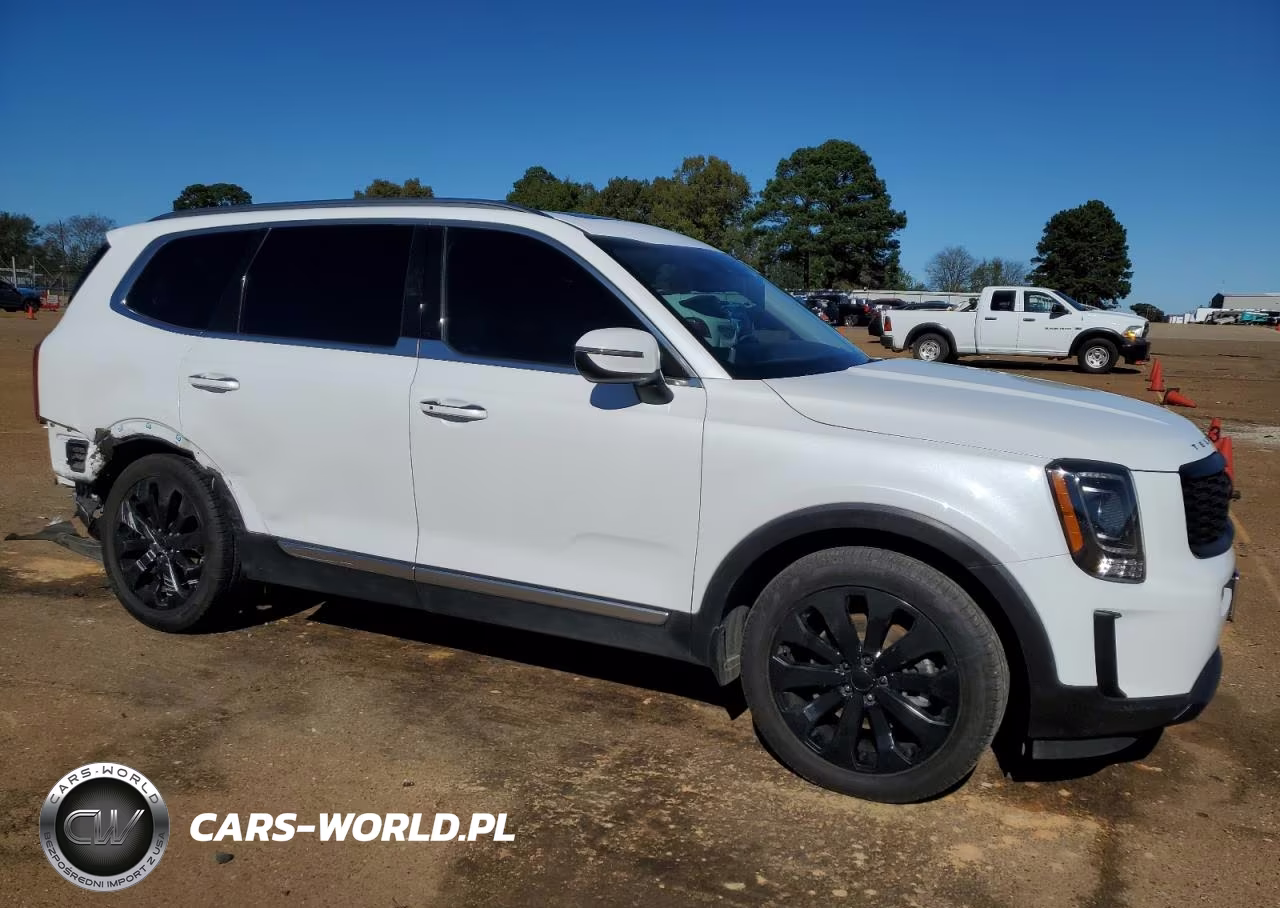 2020 Kia Telluride S VIN:5XYP6DHC4LG091498 - 4