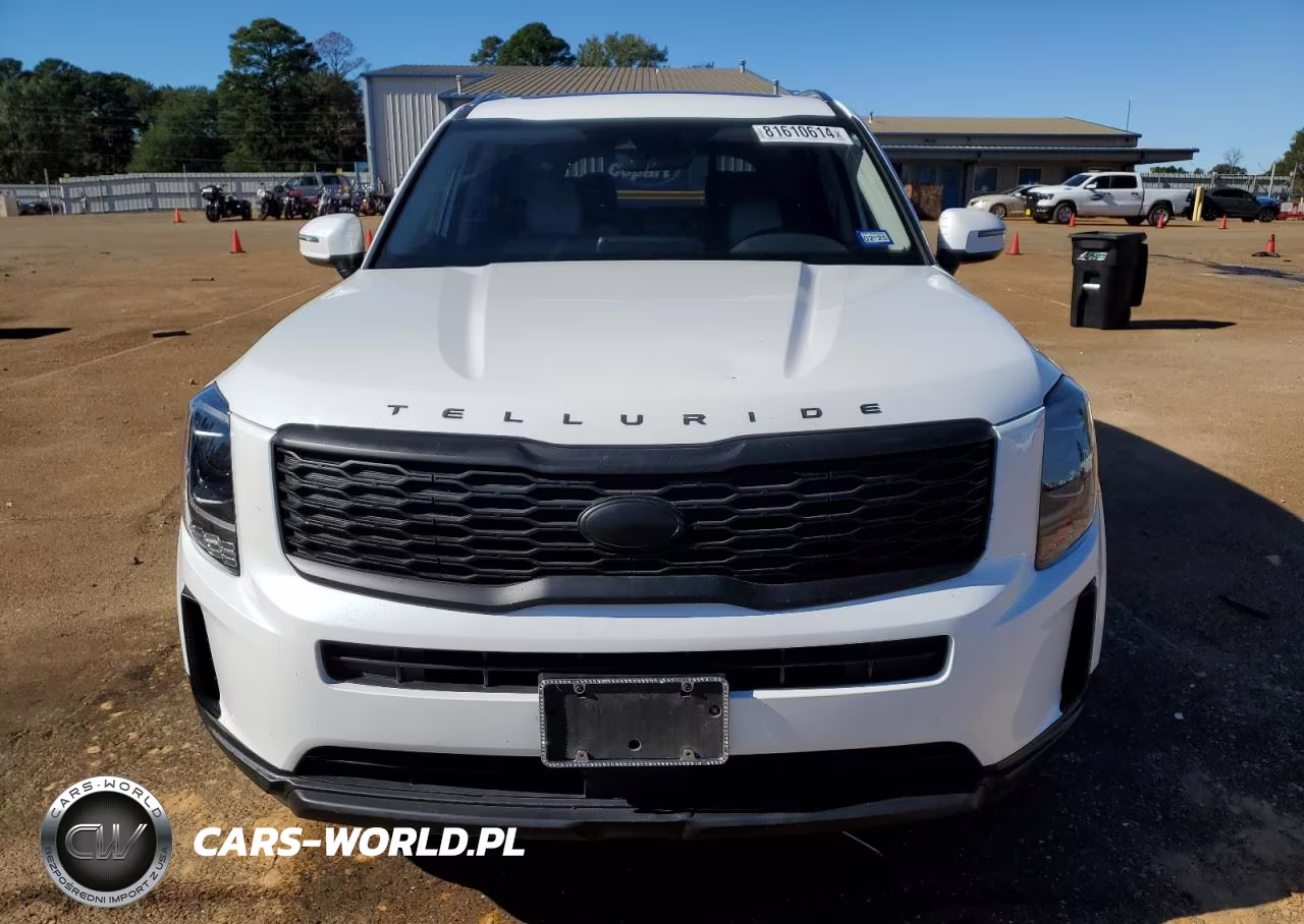 2020 Kia Telluride S VIN:5XYP6DHC4LG091498 - 5