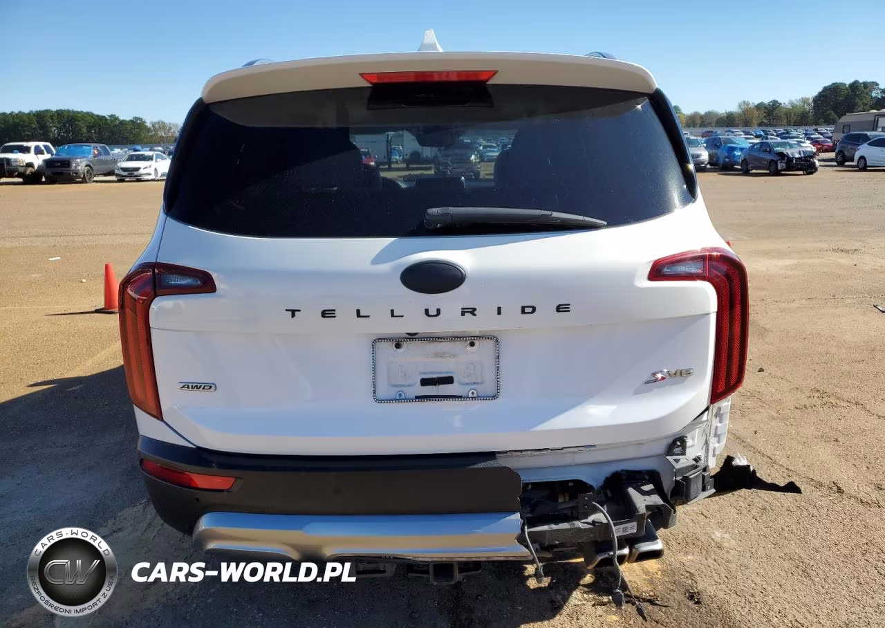 2020 Kia Telluride S VIN:5XYP6DHC4LG091498 - 6