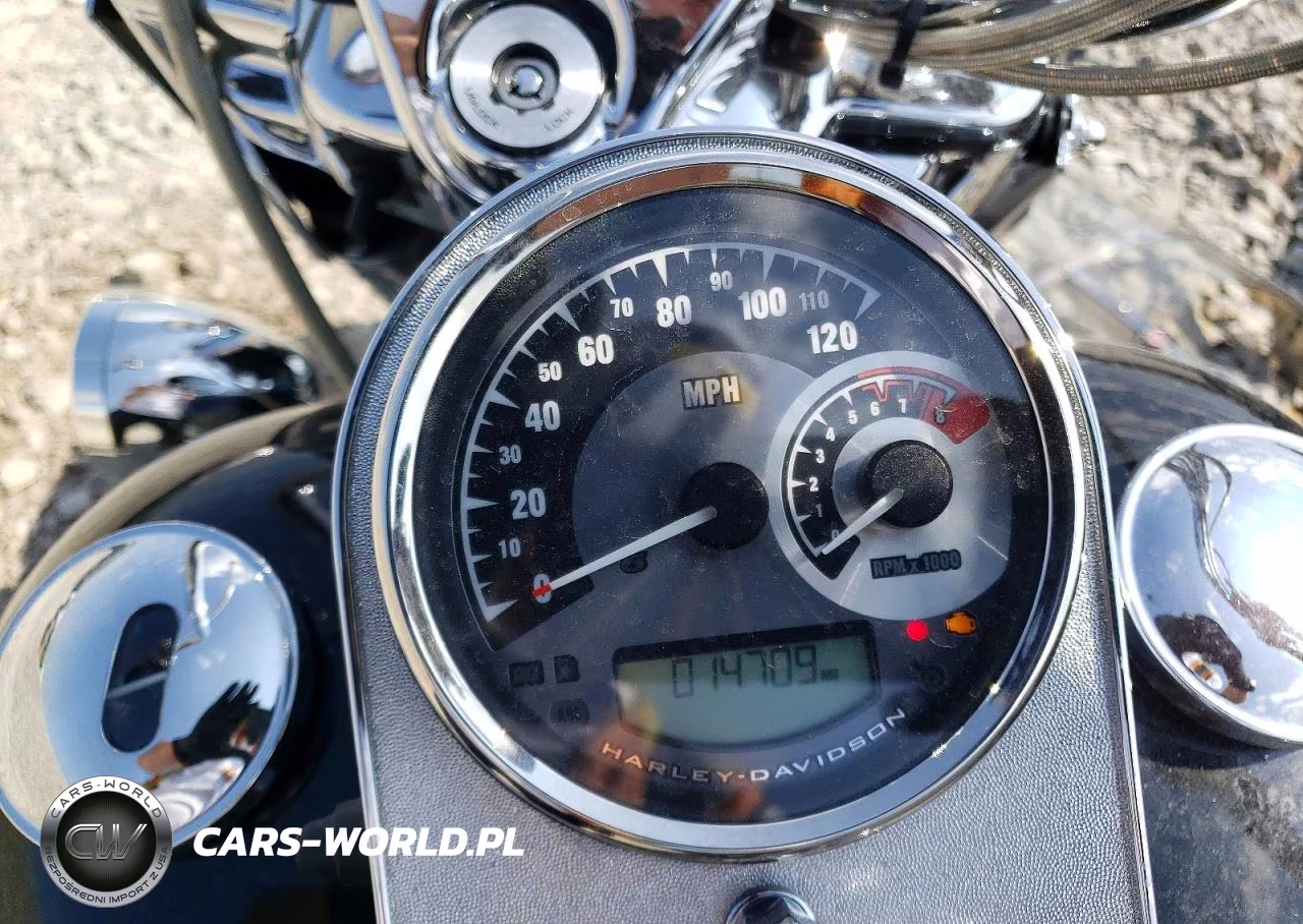 2007 Harley-Davidson Flhrci VIN:1HD1FR4137Y695658 - 7