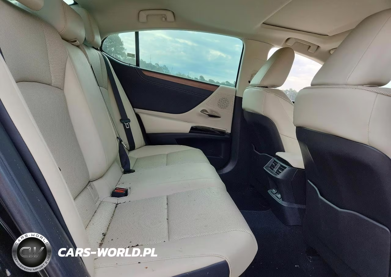 2025 Lexus Es 300H Base VIN:58ADA1C18SU062495 - 10