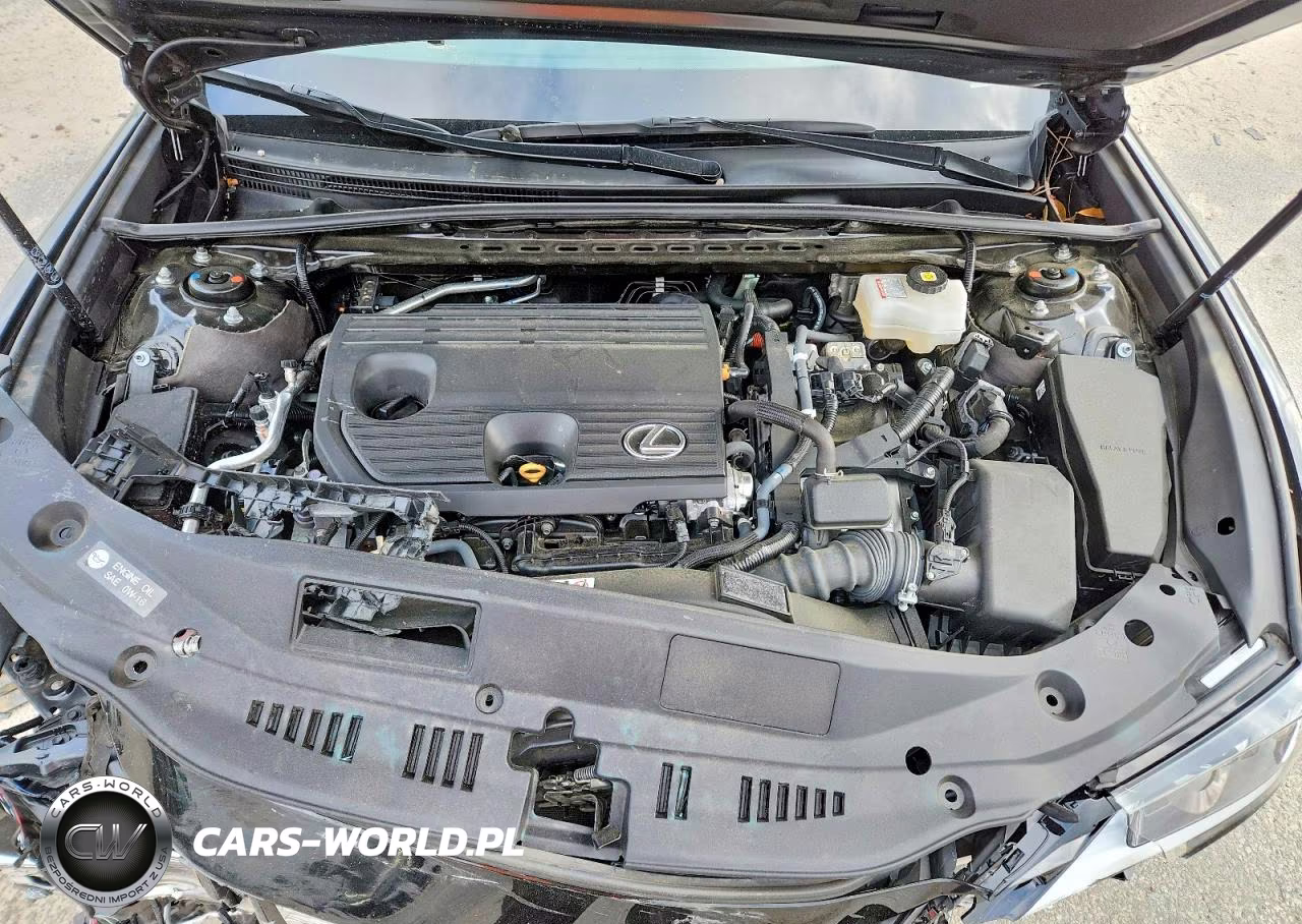 2025 Lexus Es 300H Base VIN:58ADA1C18SU062495 - 11