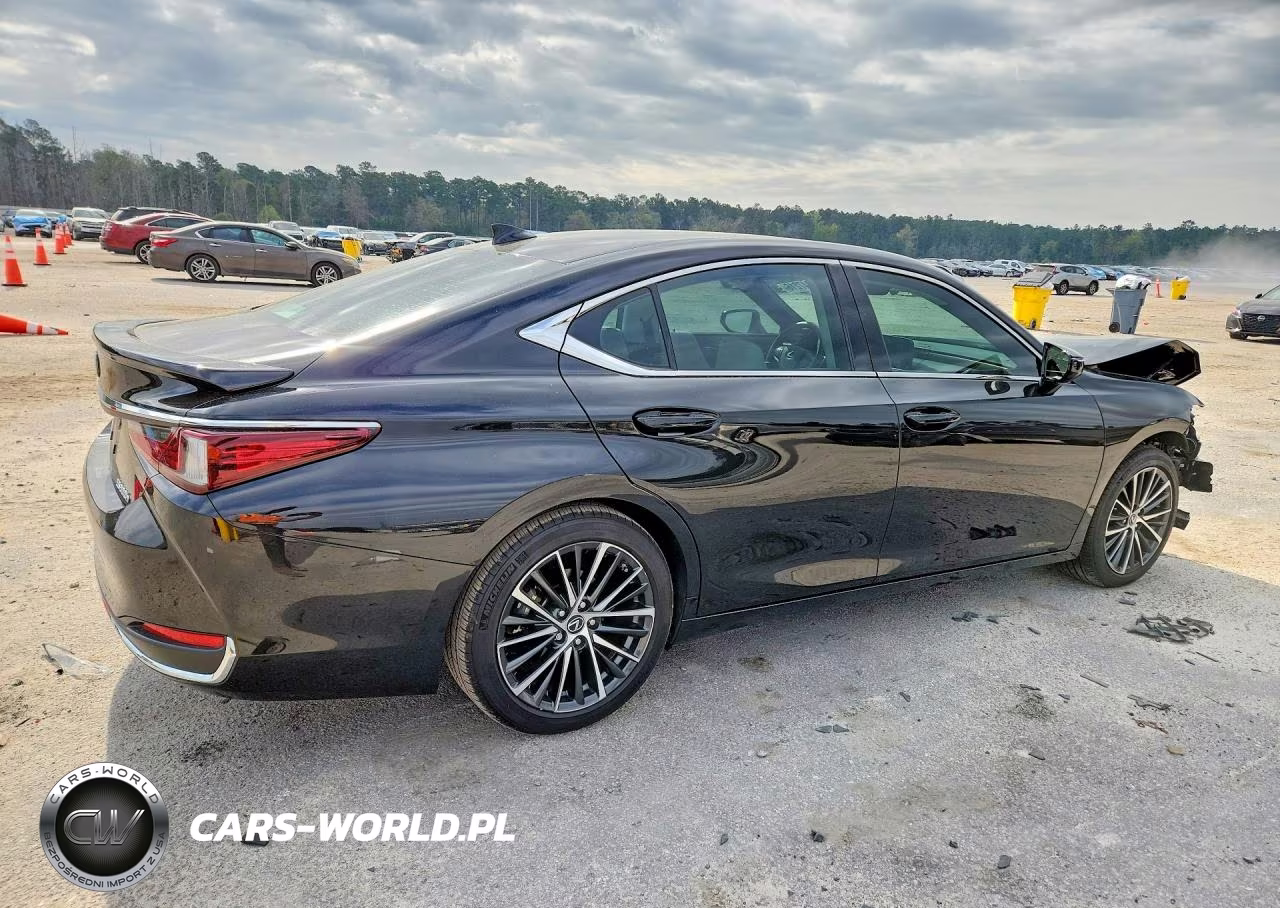 2025 Lexus Es 300H Base VIN:58ADA1C18SU062495 - 3