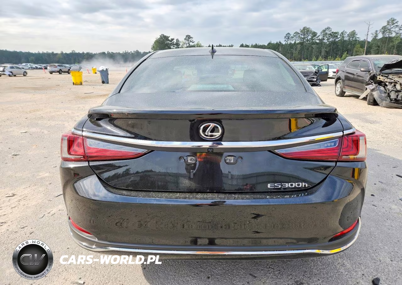 2025 Lexus Es 300H Base VIN:58ADA1C18SU062495 - 6