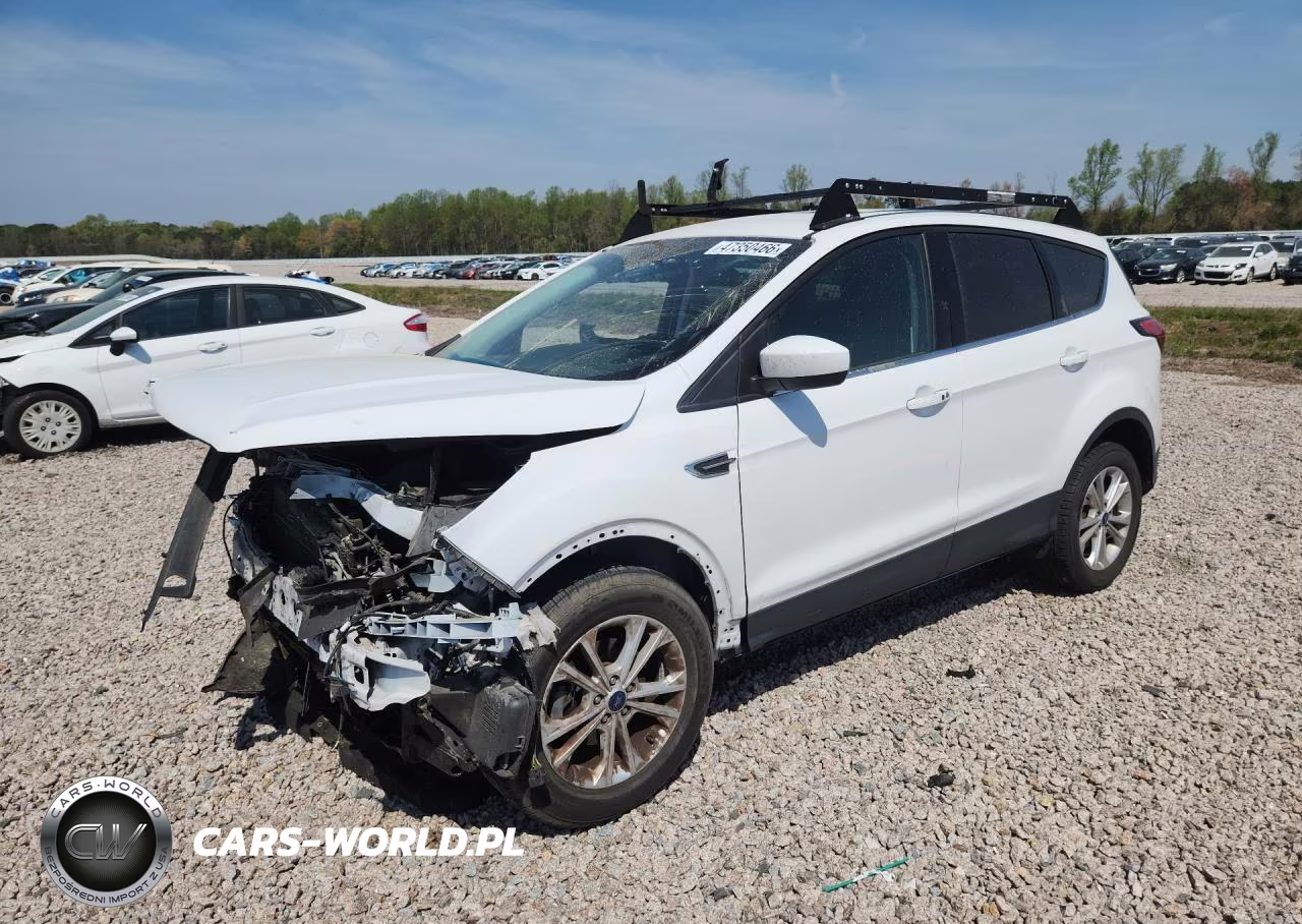 2019 Ford Escape Se