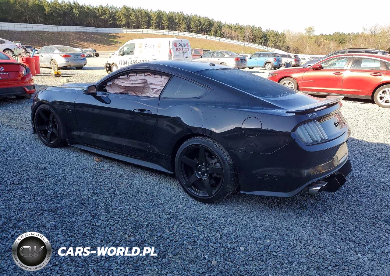 2016 Ford Mustang Gt VIN:1FA6P8CF2G5255319 - 2