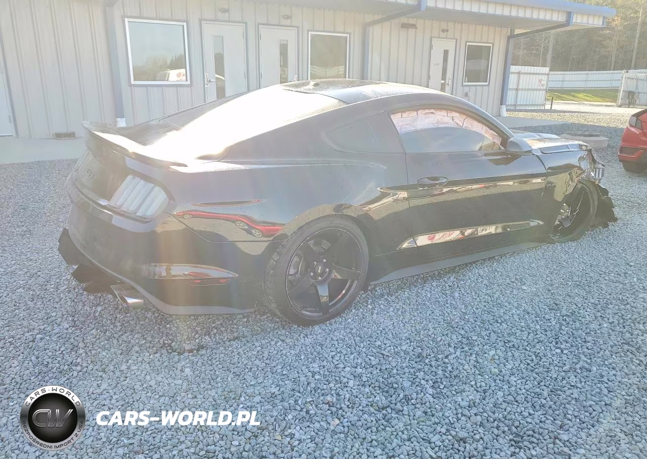 2016 Ford Mustang Gt VIN:1FA6P8CF2G5255319 - 3