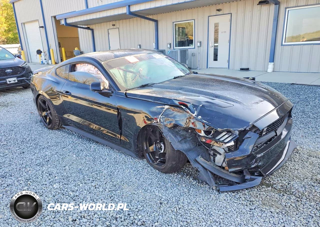 2016 Ford Mustang Gt VIN:1FA6P8CF2G5255319 - 4
