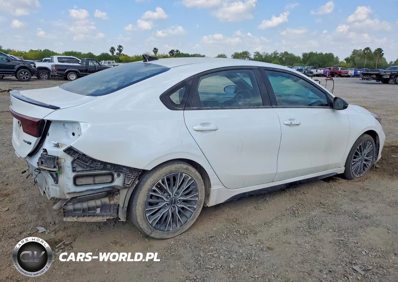 2022 Kia Forte VIN:3KPF54AD1NE483761 - 3