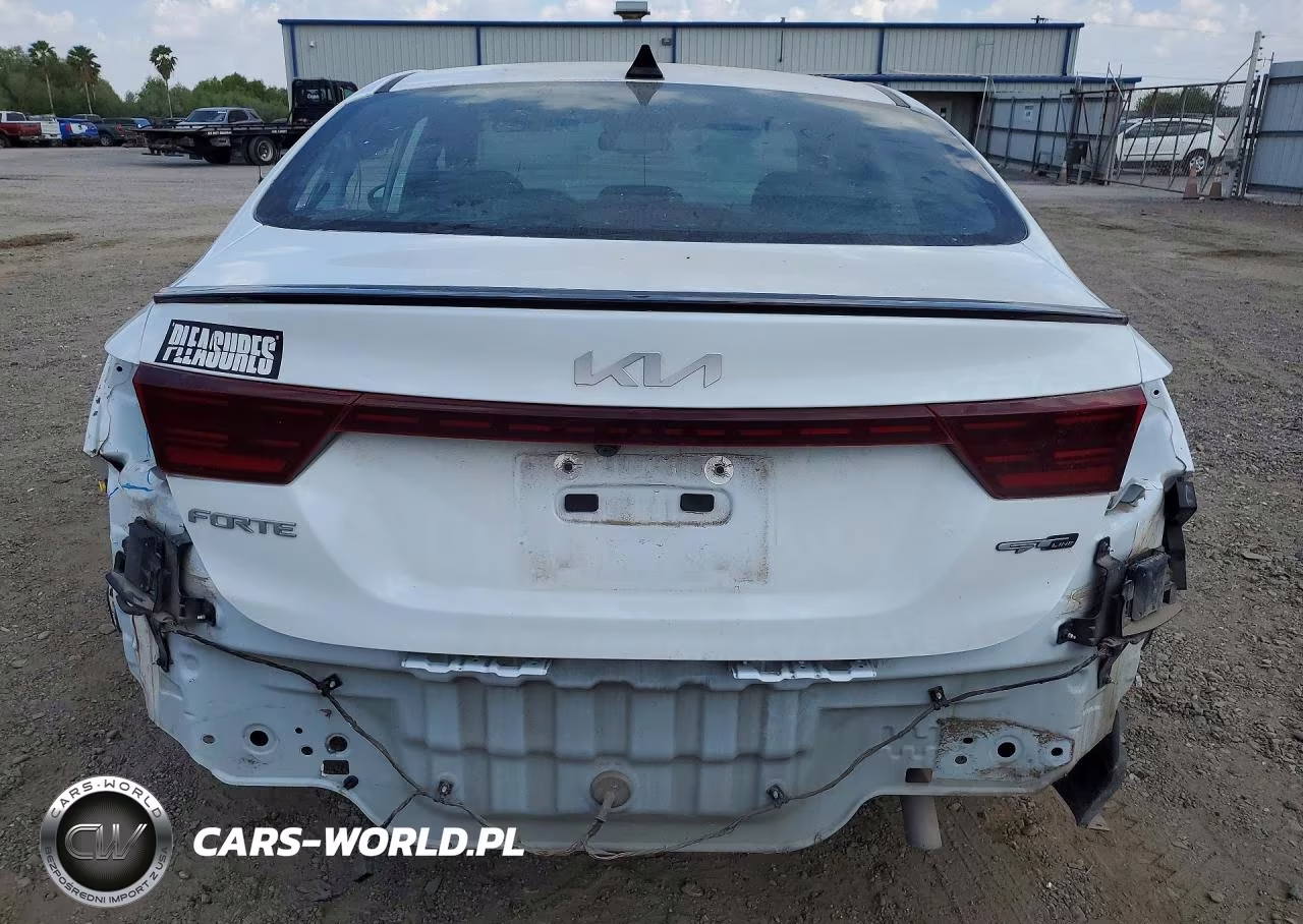 2022 Kia Forte VIN:3KPF54AD1NE483761 - 6