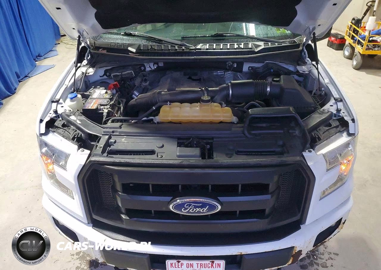 2017 Ford F150 Supercrew VIN:1FTEW1EG2HFA65697 - 11