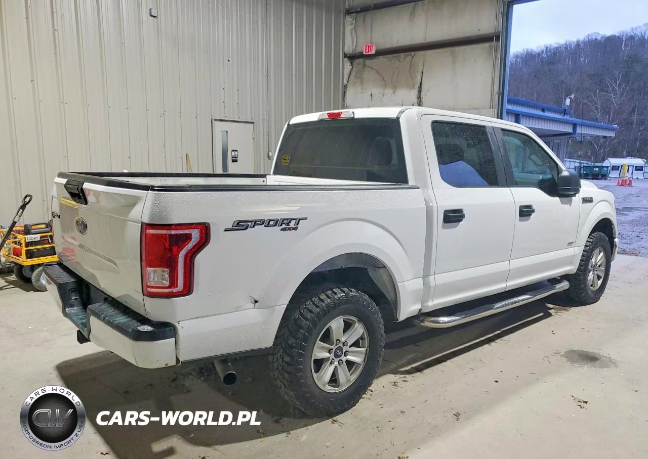 2017 Ford F150 Supercrew VIN:1FTEW1EG2HFA65697 - 3