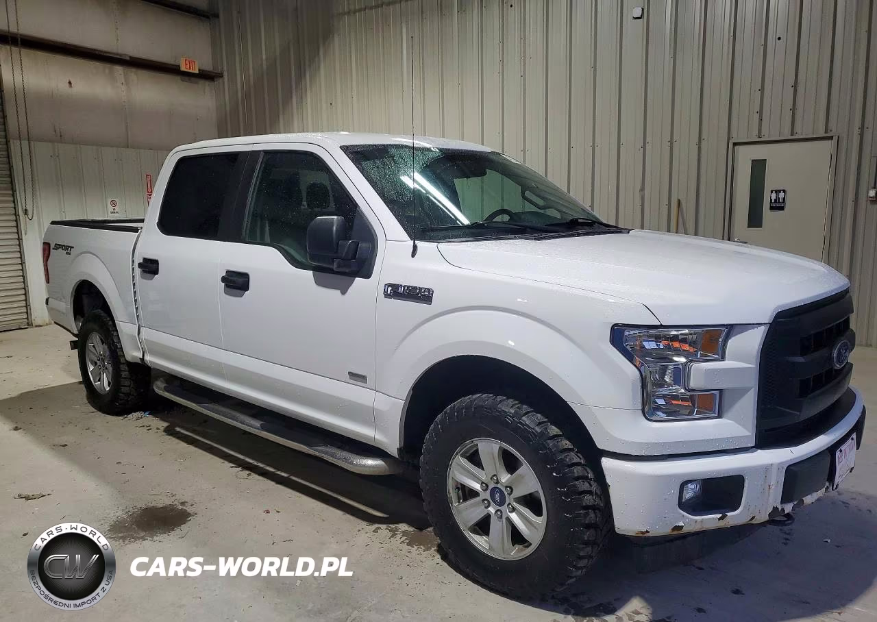 2017 Ford F150 Supercrew VIN:1FTEW1EG2HFA65697 - 4