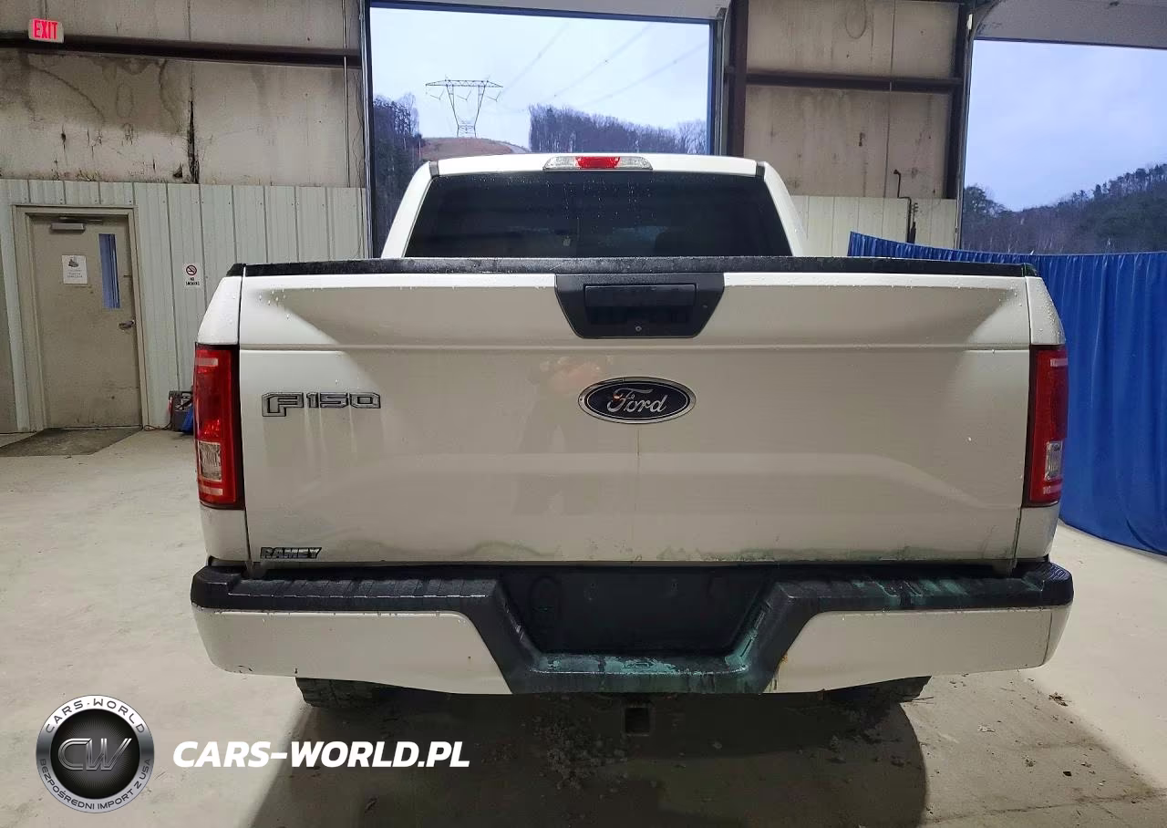 2017 Ford F150 Supercrew VIN:1FTEW1EG2HFA65697 - 6