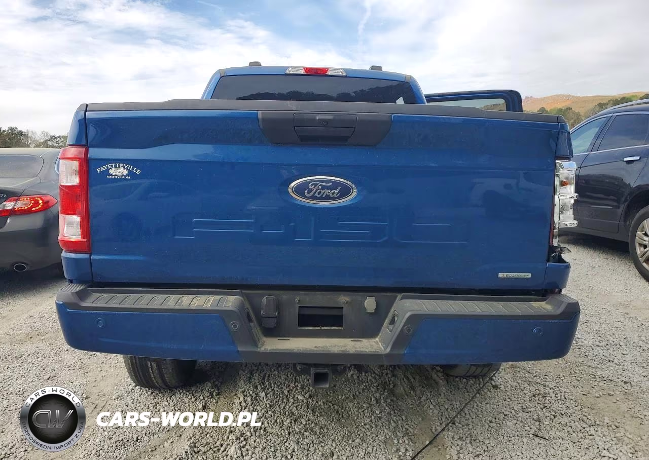 2023 Ford F150 Supercrew VIN:1FTEW1EP0PKD99295 - 6