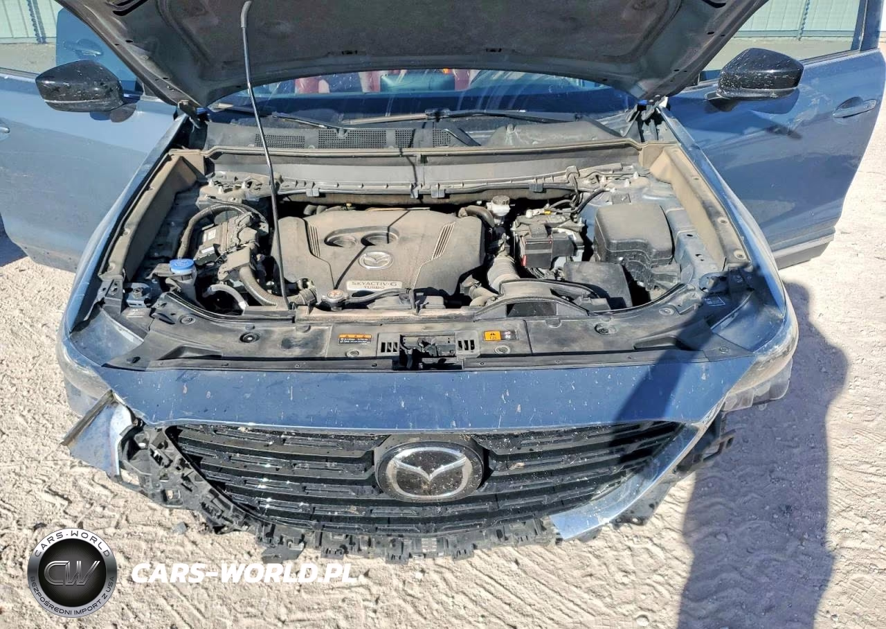 2022 Mazda Cx-9 Grand Touring VIN:JM3TCBDY4N0628464 - 12