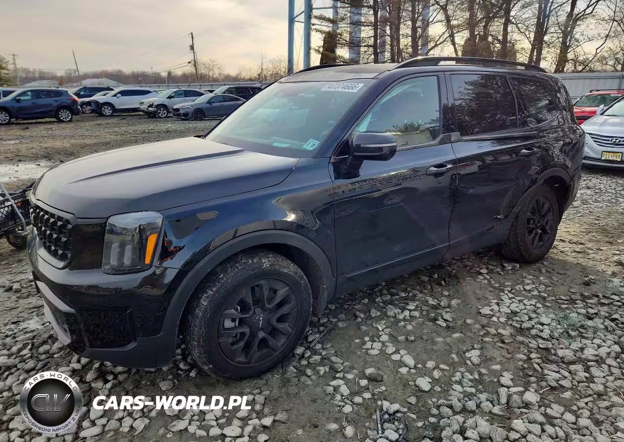2024 Kia Telluride Sx-Prestige X-Pro