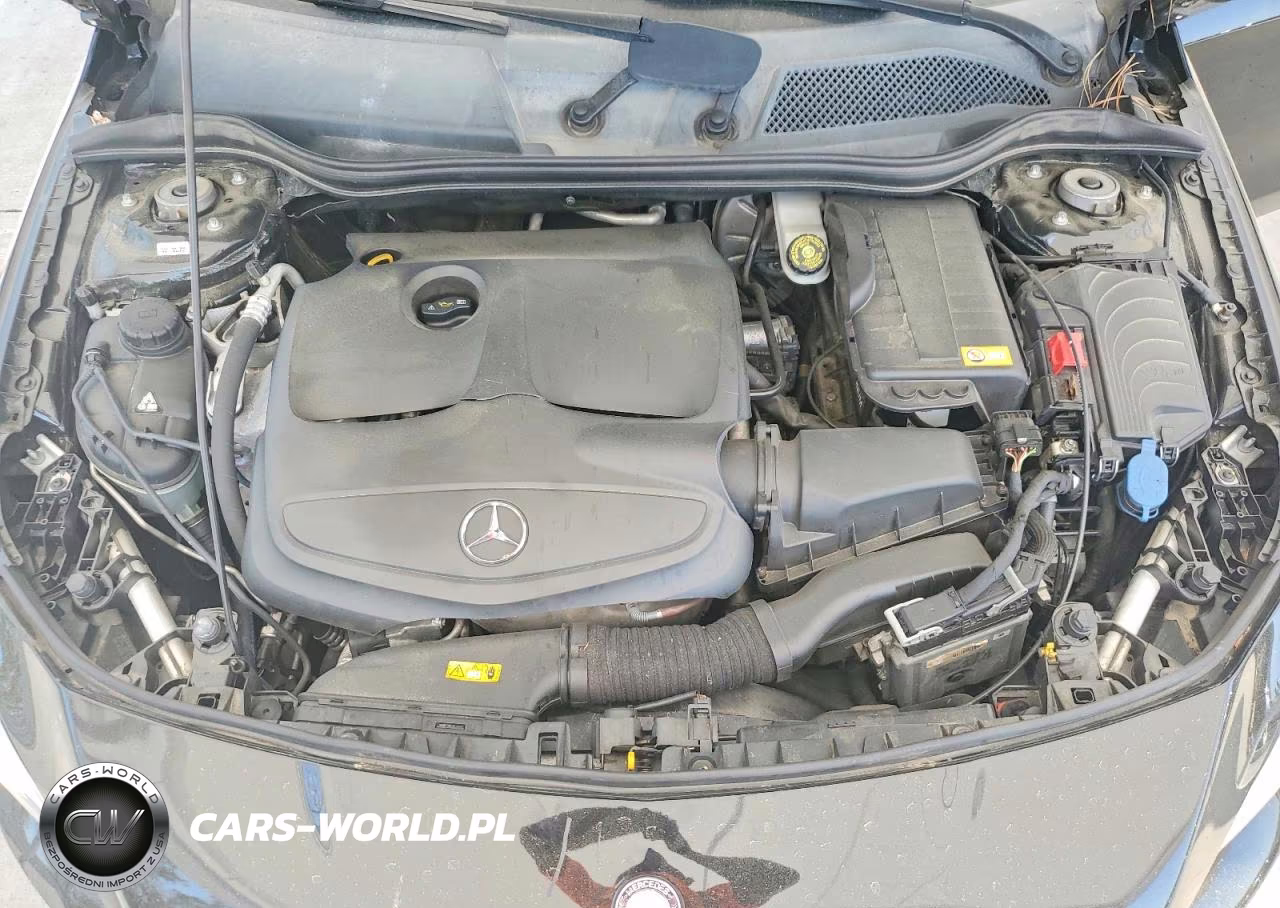 2014 Mercedes-Benz Cla 250 VIN:WDDSJ4EB0EN160600 - 11