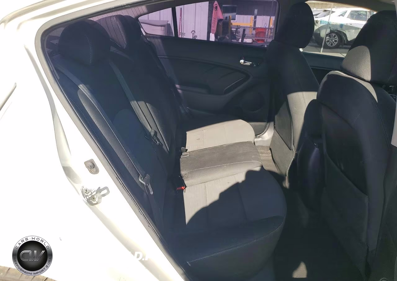 2014 Kia Forte Lx VIN:KNAFX4A69E5212841 - 10