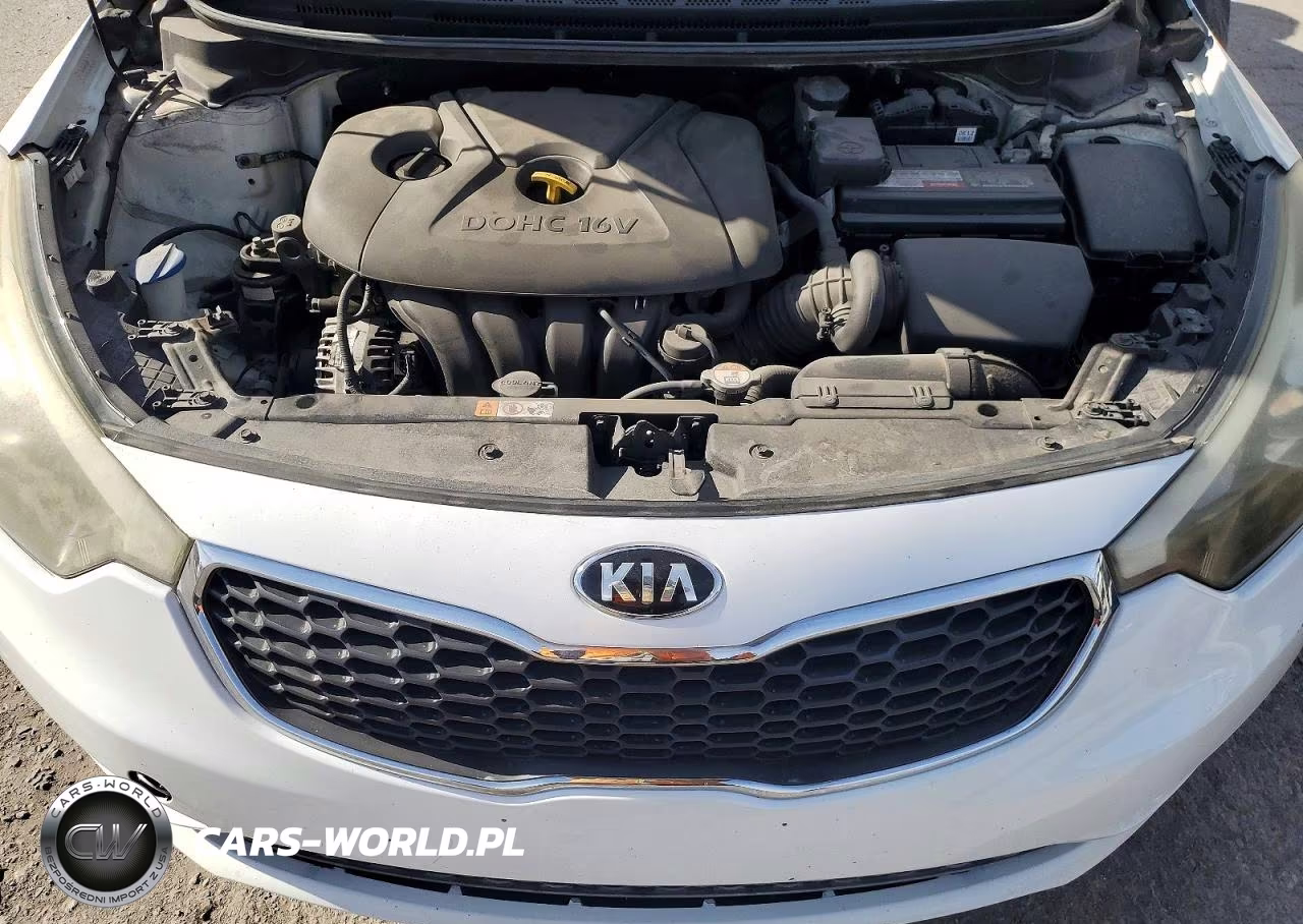 2014 Kia Forte Lx VIN:KNAFX4A69E5212841 - 11