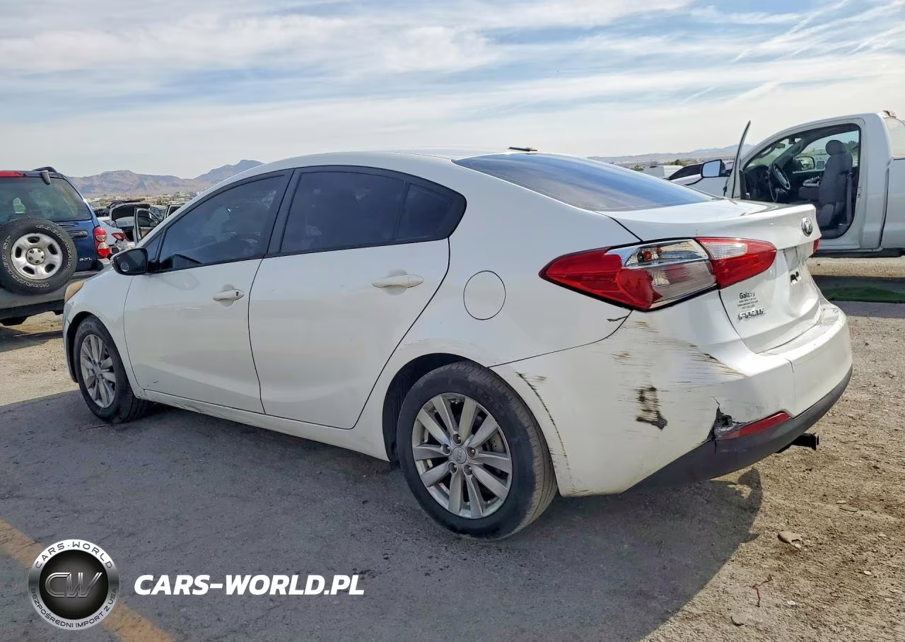 2014 Kia Forte Lx VIN:KNAFX4A69E5212841 - 2
