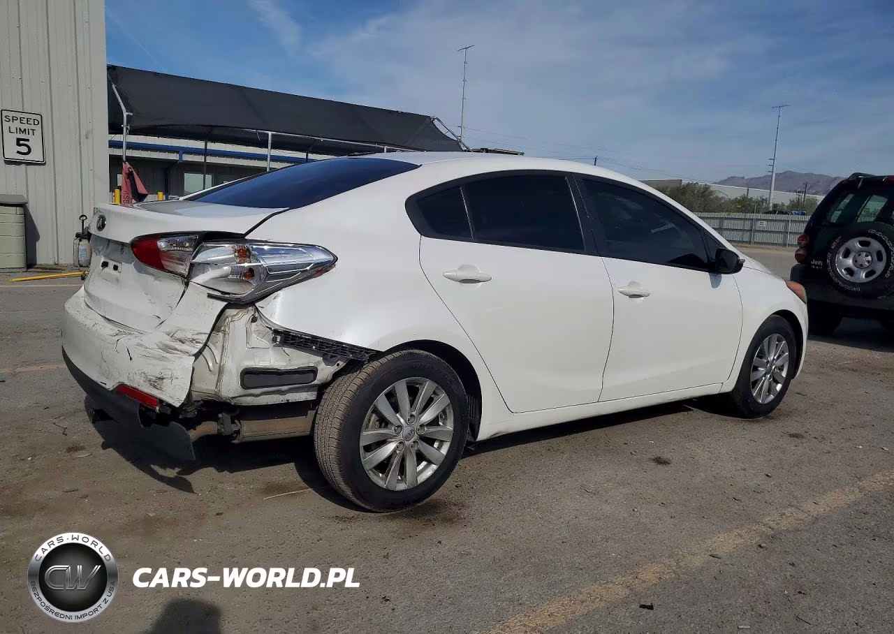 2014 Kia Forte Lx VIN:KNAFX4A69E5212841 - 3