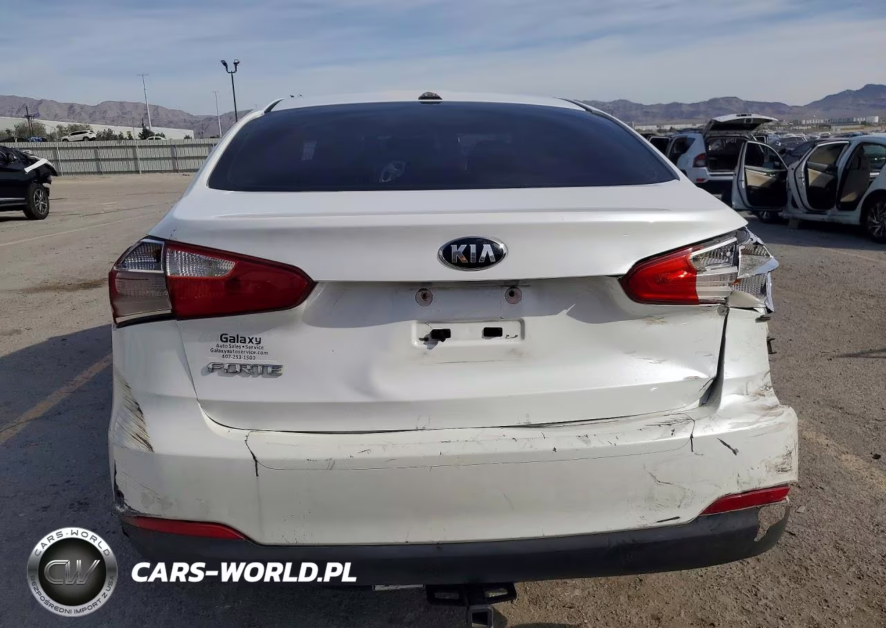 2014 Kia Forte Lx VIN:KNAFX4A69E5212841 - 6