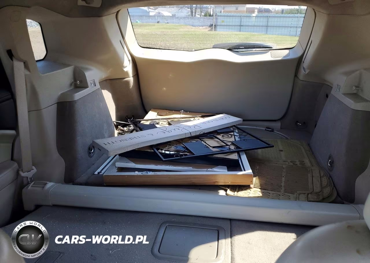 2010 Cadillac Srx Luxury Collection VIN:3GYFNDEY0AS544066 - 10