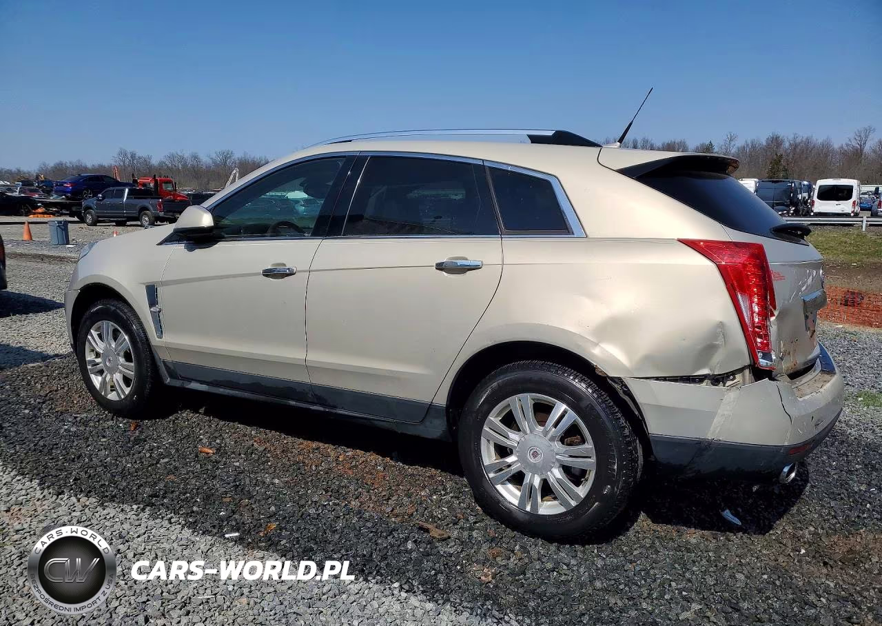 2010 Cadillac Srx Luxury Collection VIN:3GYFNDEY0AS544066 - 2