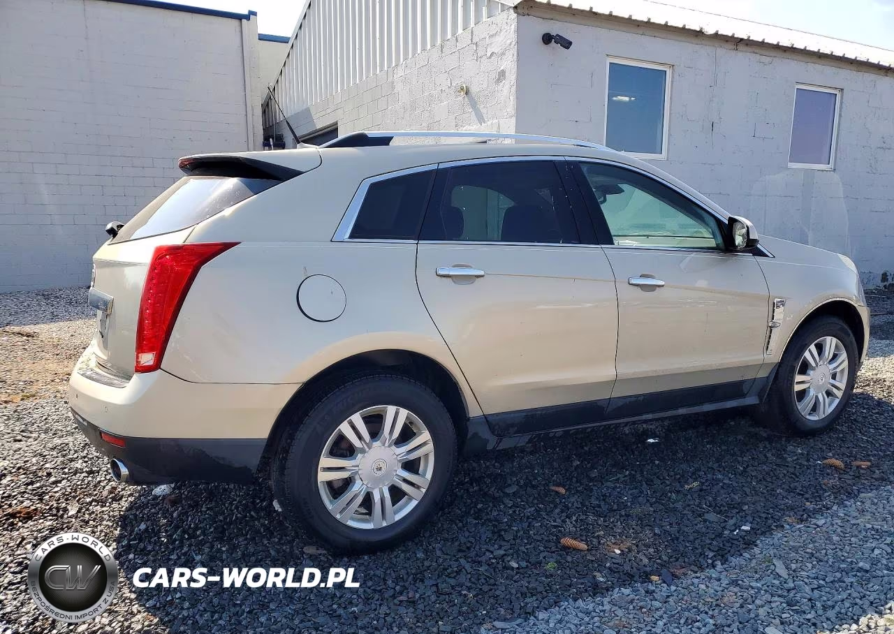 2010 Cadillac Srx Luxury Collection VIN:3GYFNDEY0AS544066 - 3