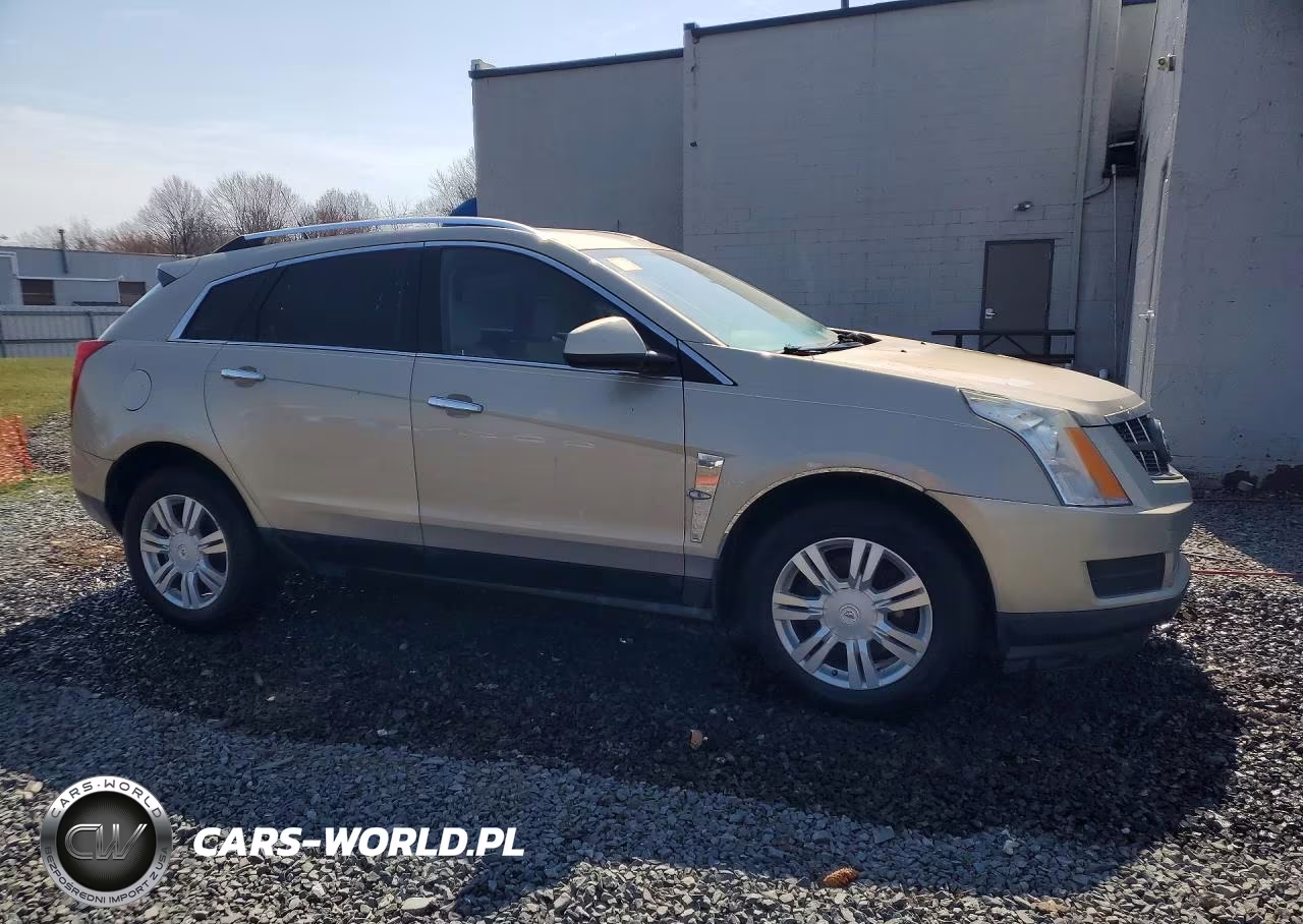 2010 Cadillac Srx Luxury Collection VIN:3GYFNDEY0AS544066 - 4