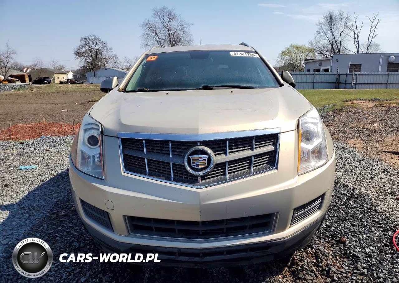 2010 Cadillac Srx Luxury Collection VIN:3GYFNDEY0AS544066 - 5