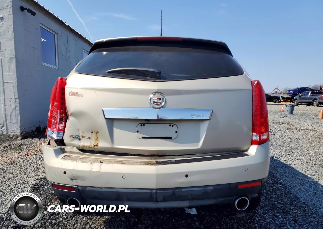 2010 Cadillac Srx Luxury Collection VIN:3GYFNDEY0AS544066 - 6
