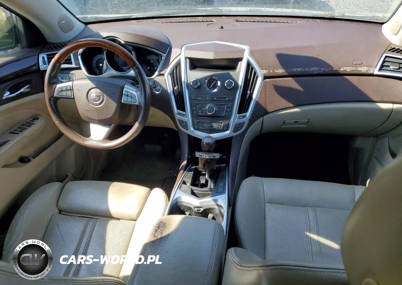 2010 Cadillac Srx Luxury Collection VIN:3GYFNDEY0AS544066 - 8