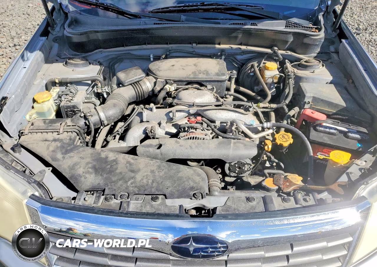 2010 Subaru Forester 2.5X Premium VIN:JF2SH6CC0AH916319 - 12