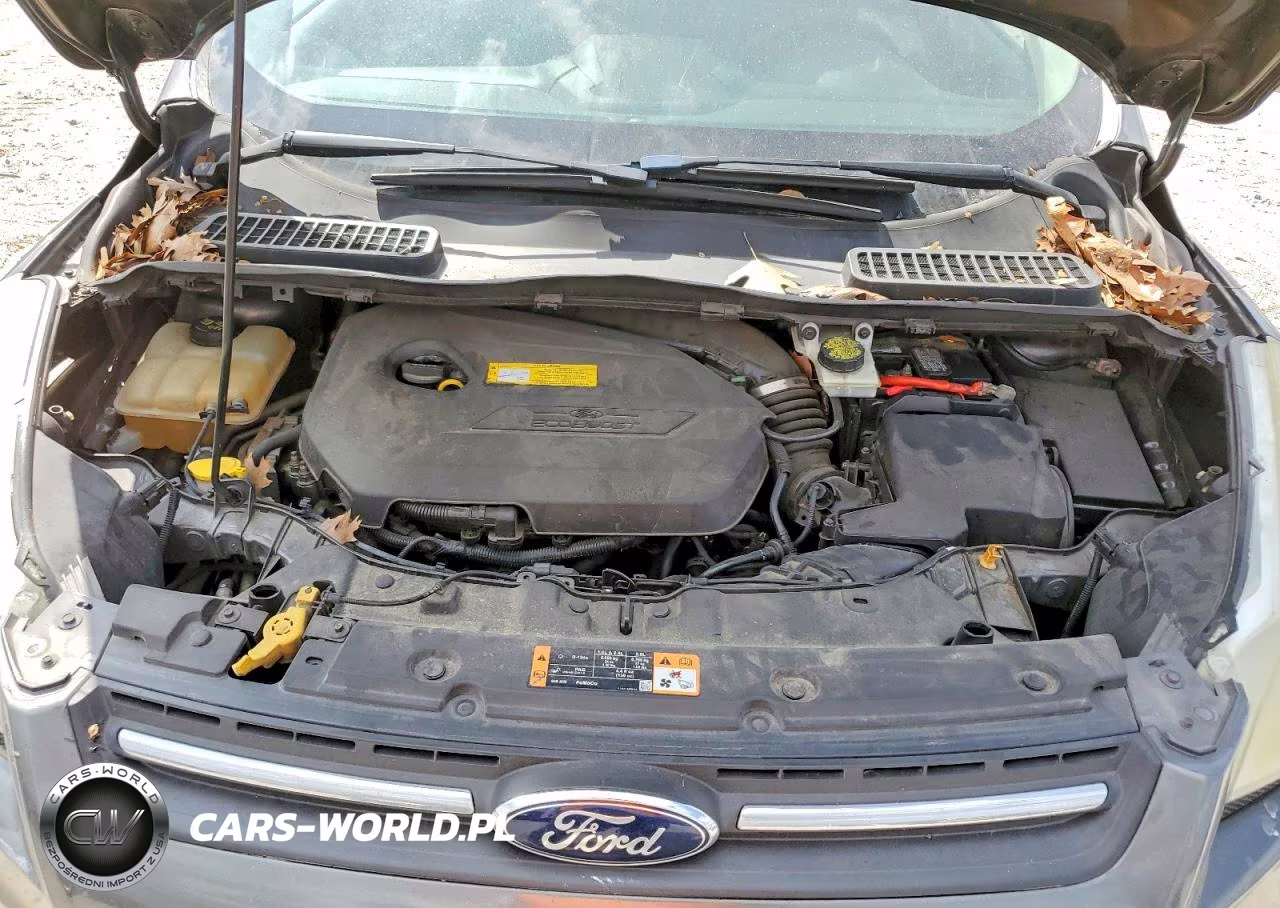 2015 Ford Escape Se VIN:1FMCU0GX4FUB29277 - 12