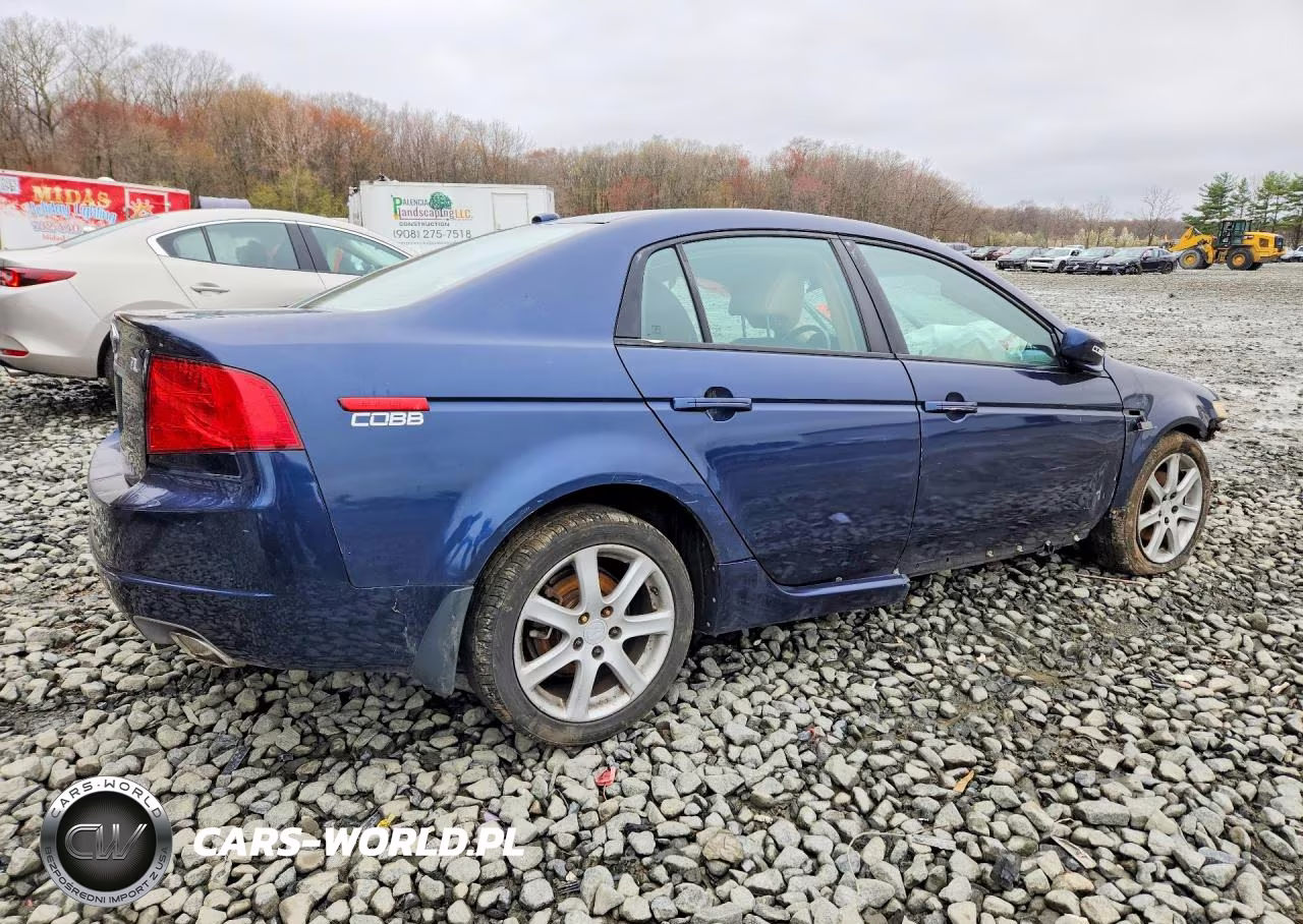 2004 Acura Tl VIN:19UUA662X4A026911 - 3