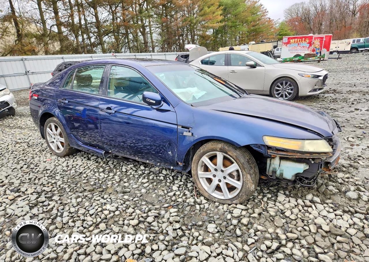 2004 Acura Tl VIN:19UUA662X4A026911 - 4