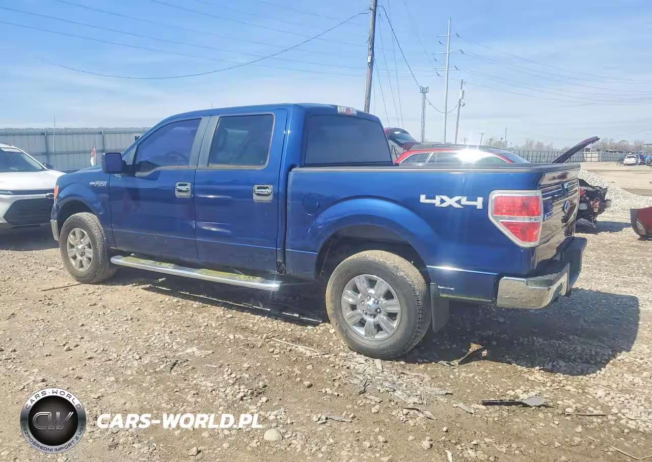 2010 Ford F150 Supercrew VIN:1FTFW1EV6AFD02927 - 2