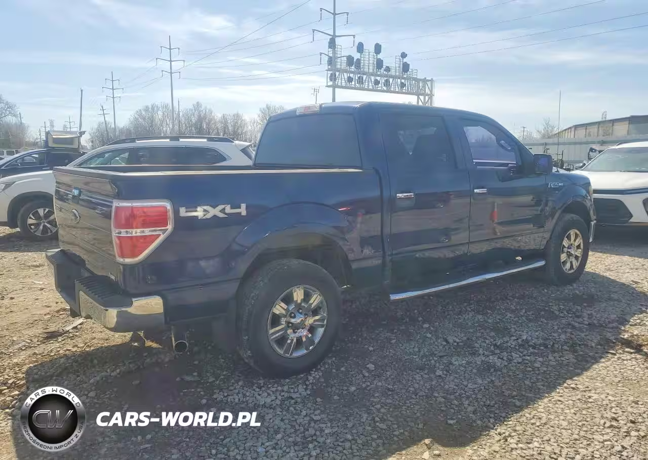 2010 Ford F150 Supercrew VIN:1FTFW1EV6AFD02927 - 3