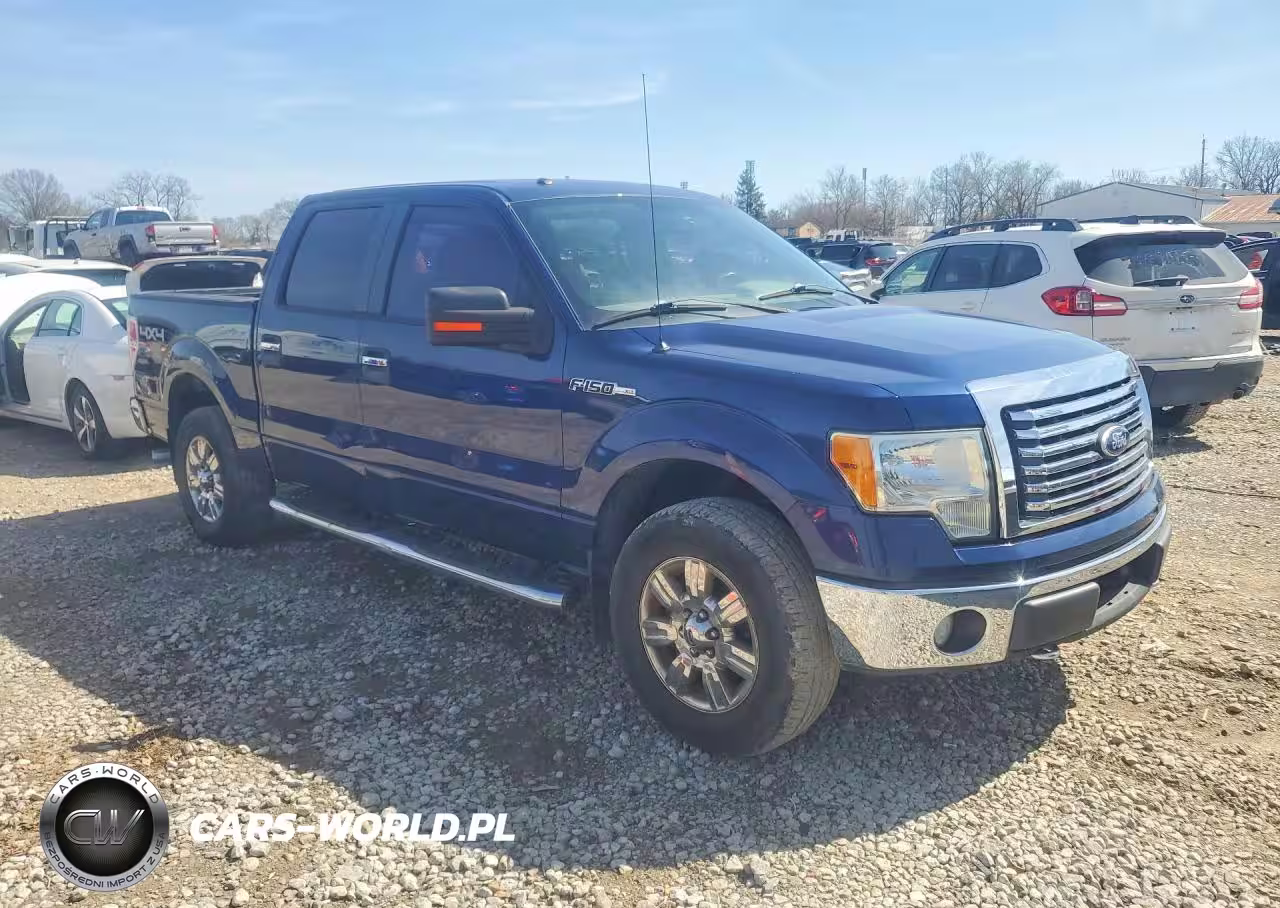 2010 Ford F150 Supercrew VIN:1FTFW1EV6AFD02927 - 4
